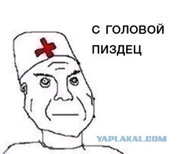 Владелец выброшенного проводницей кота рассказал о трагедии: "Так не оставлю"