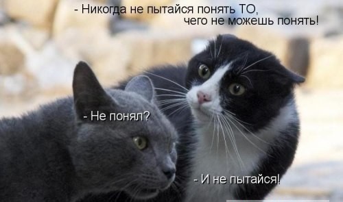 Так себе картинки 22.07.24