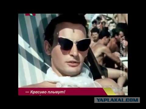 Возвращение кота домой! И так каждый день!