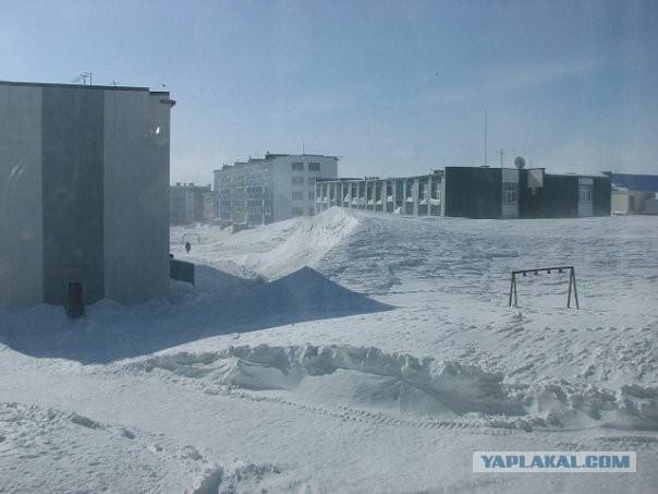 Лето пахнет льдом