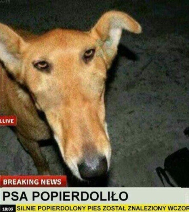 Когда отчаялся