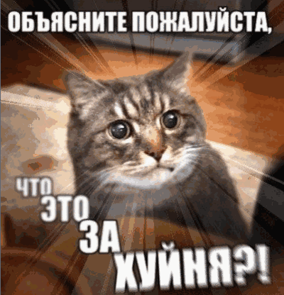 Погоня ГАИ за девушкой в Бишкеке