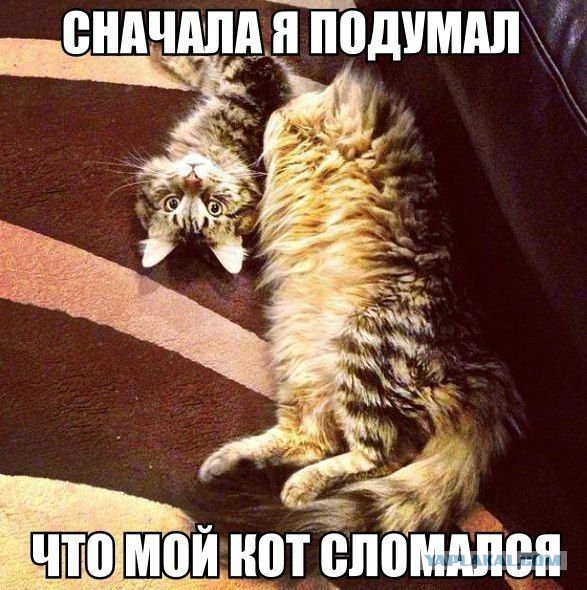 Картинки