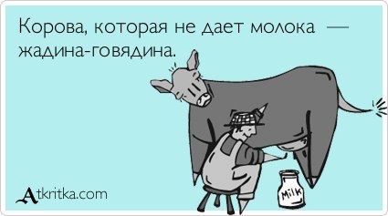 Смешные картинки с подписями