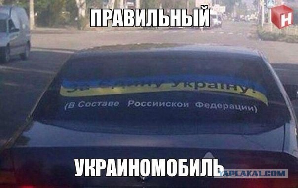 А вот и новые картинки!