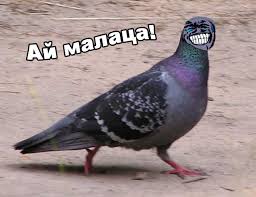 Всем зеленки!