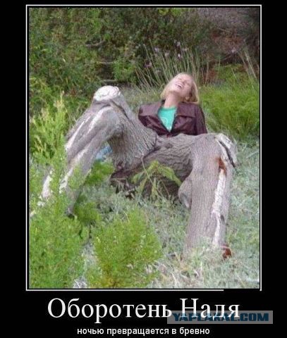 Картинки из этих ваших интернетов