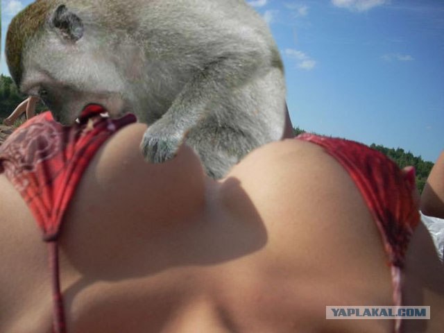 Прицел