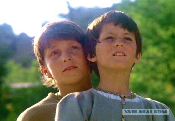 Они выросли.