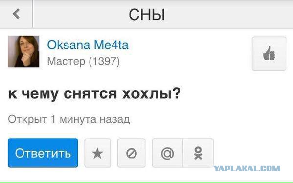 Смешные комментарии из социальных сетей