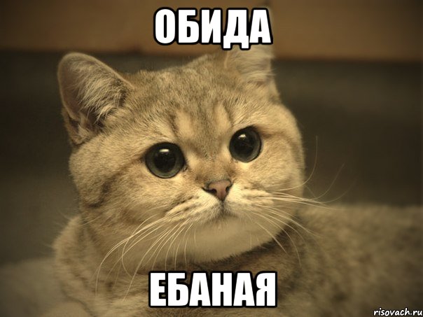 Комментатор ЯПа