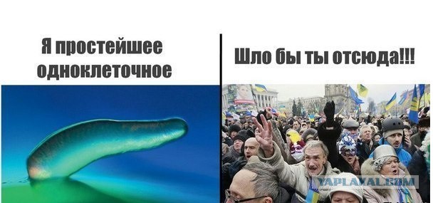 Картинки на злободневные темы
