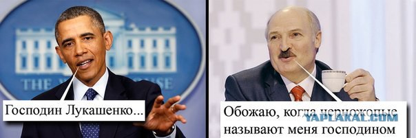 Подборка злободневных политических картинок