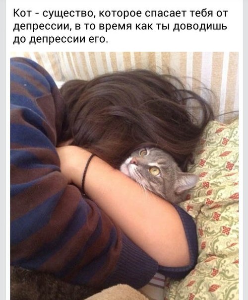 Забавные картинки из Сети