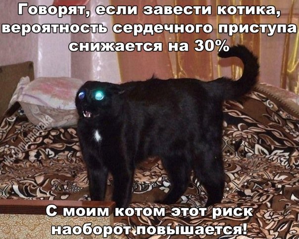 Картинки разные из сети
