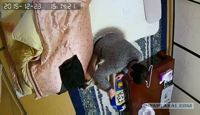 За что я люблю китайцев