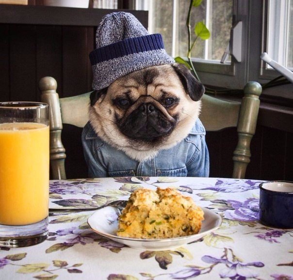 Подборка красивых картинок