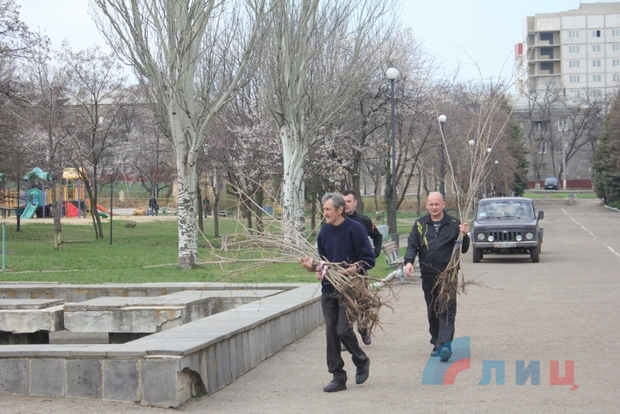 В парке имени Щорса в Луганске высадили аллею в память о погибших детях