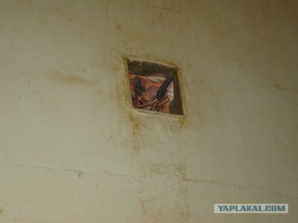 Аццкое боткино (ред. 2008)