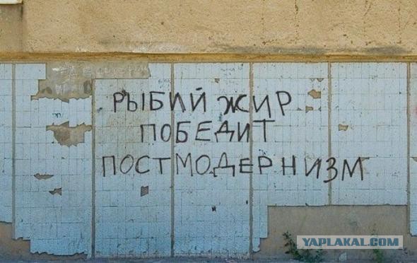 Да они же обдолбанные все!