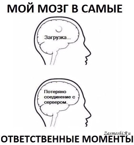 Факты о работе мозга, которые доказывают, что мы способны на все