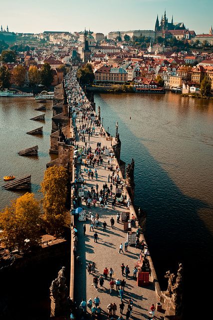 Моменты, запечатлённые на фото и просто позитив 5