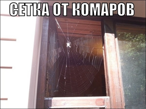 Приколы и юмор из социальных сетей