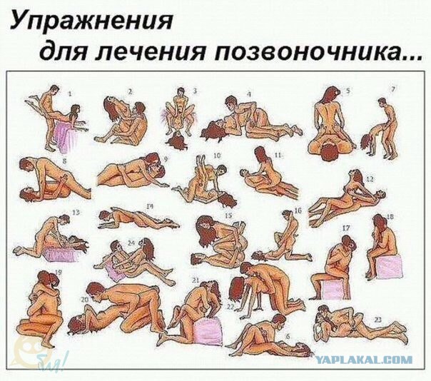 Весёлые картинки