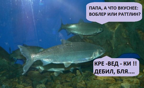 Формула 1. Межсезонье.