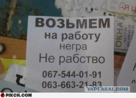Хотела пошутить про толератность, но..