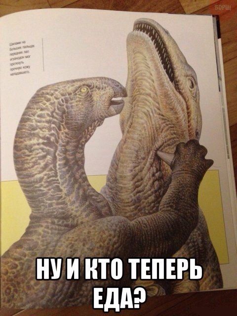 Нестандартный юмор