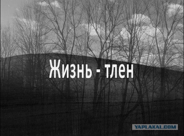 Пользователи интернета видят рифмы и слагают прикольные четверостишия