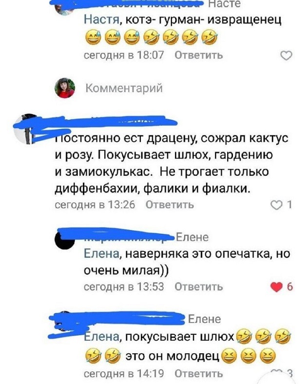 Прикольные комментарии и высказывания из Сети