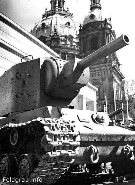 ФотоОвсянка