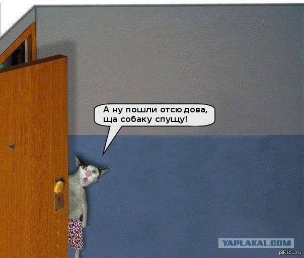 Коротко о ЯПлакал в картинках