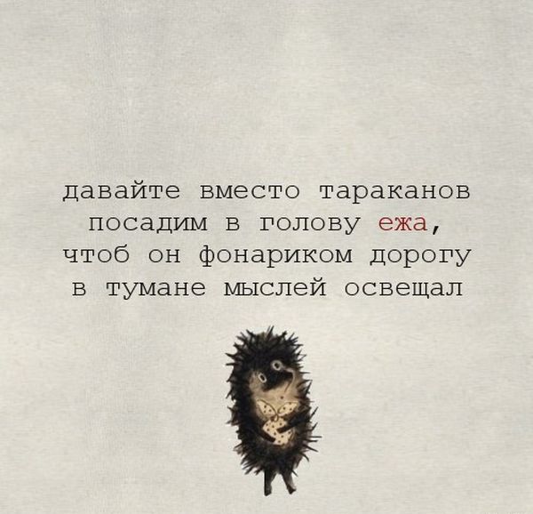 Бредзона 02.06.2020