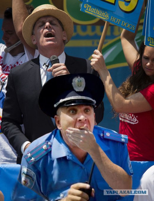 Фотожаба: Двадцатьдевятый хотдог