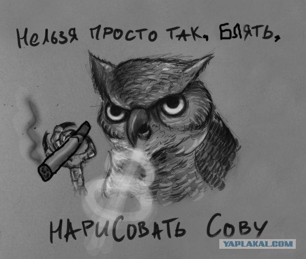 Фотожаба:Нельзя просто так взять и нарисовать СОВУ