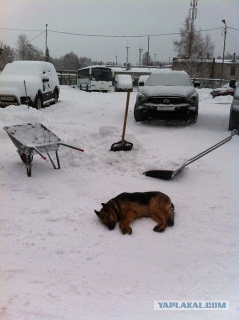 Уборка снега.