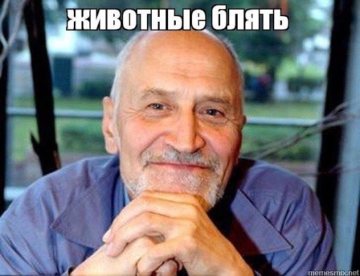 Дагестанские блогерши подрались с компанией парней в Махачкале
