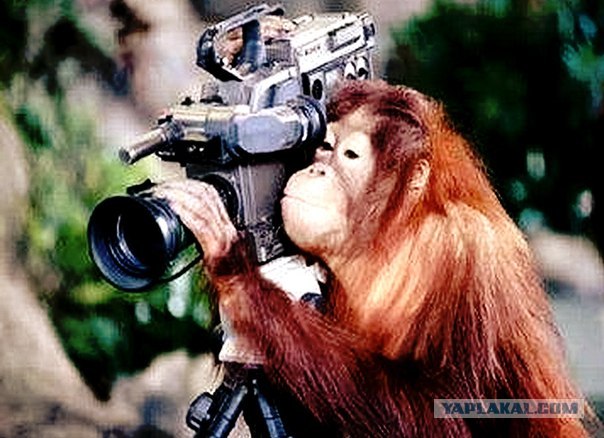 Битва в Гетто