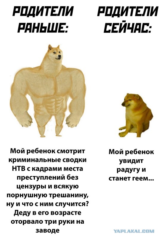 Весёлый полтишок 4.07