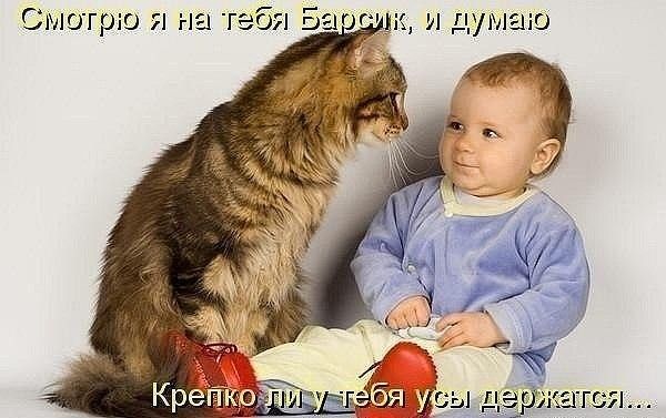 Они нашли друг друга