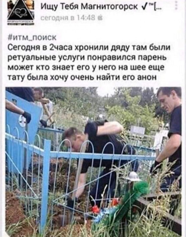 Так себе картинки 17.04.22