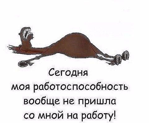 Картинки и мемы - "Жить, как говорится, хорошо..."