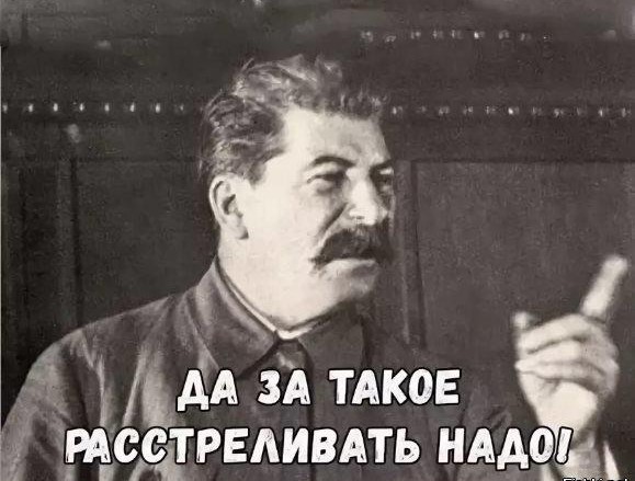 В Подмосковной деревне Терпигорьево на ребёнка набросилась обезьяна, которая сбежала из соседнего дома