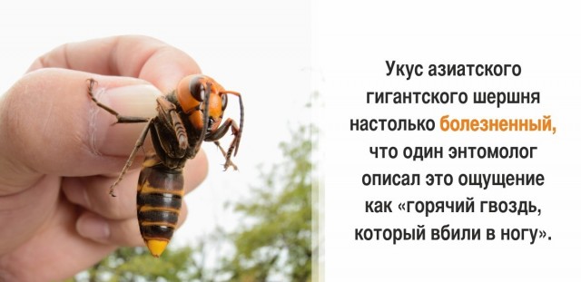 30 суровых фактов, которые пугают больше, чем фильмы ужасов