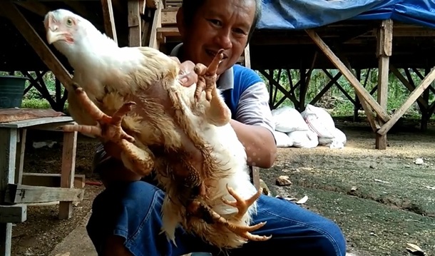 Кассирское