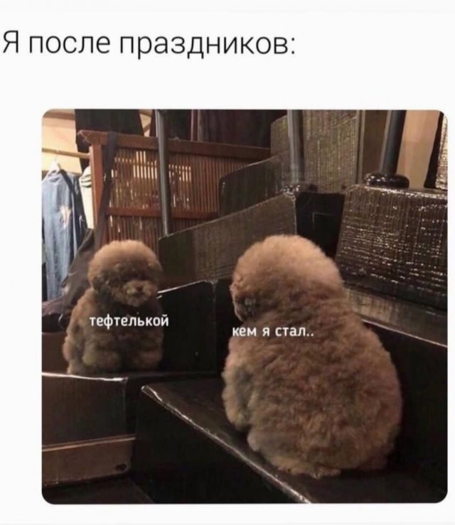 Картинки для настроения 16.01.2024
