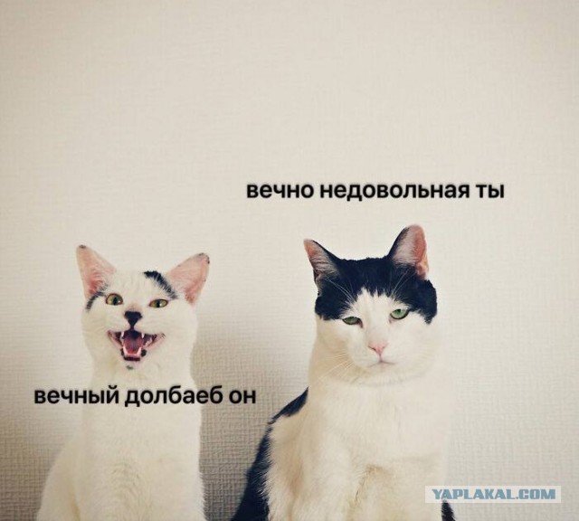 Картинки разные с надписями и без